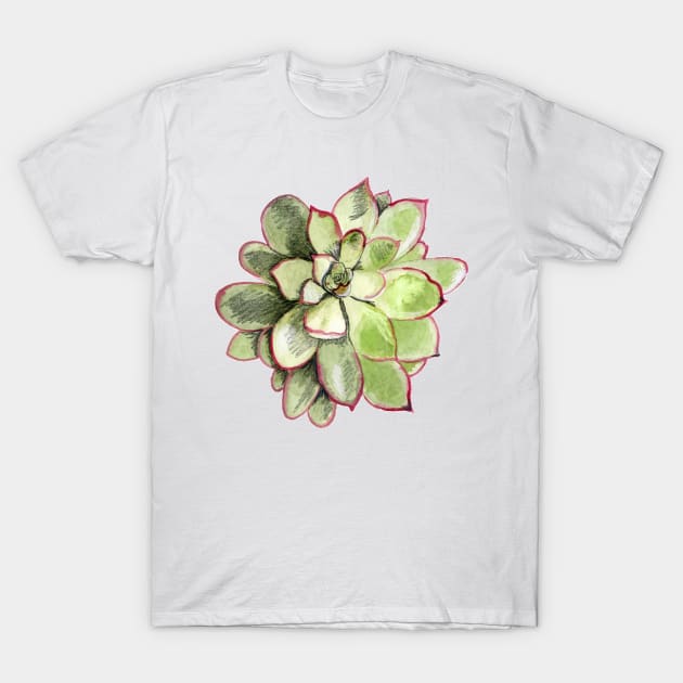 Echeveria T-Shirt by crumpetsandcrabsticks